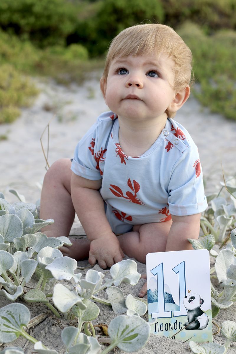 A baby sitting in the dunes beside an 11-month milestone card